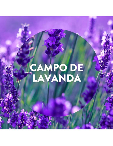 AIR WICK ACTIVE FRESH LAVANDA