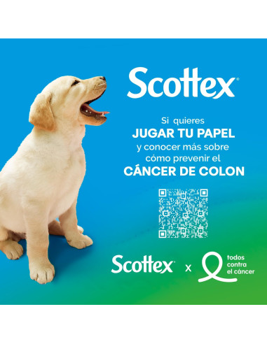 Scottex Papel Higiénico Sensitive 42 rollo
