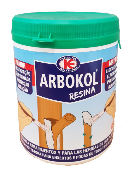 Arbokol Resina Bote 1KG
